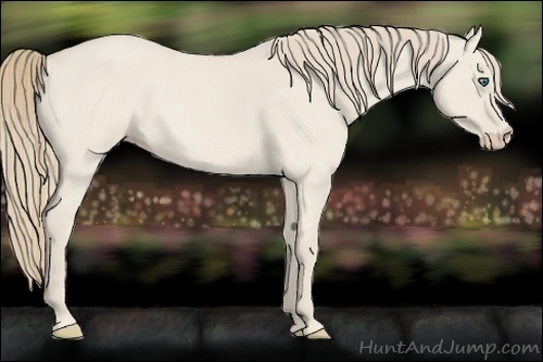Horse Color:Smoky Creme Roan Dun 