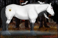 Horse Color:Bay Chinchilla  Brindle