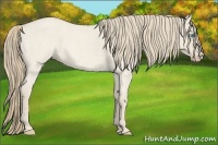 Horse Color:Smoky Creme Roan Dun 