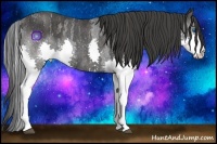 Horse Color:Blue Roan Splash  Brindle