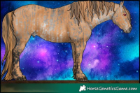 Horse Color:Brown Chinchilla Rabicano  Brindle