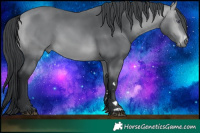 Horse Color:Brown Chinchilla Rabicano  Brindle
