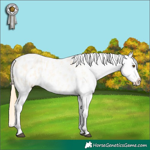 Horse Color:Buckskin Roan Dun Blanket
