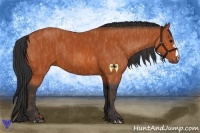 Horse Color:Bay  Brindle