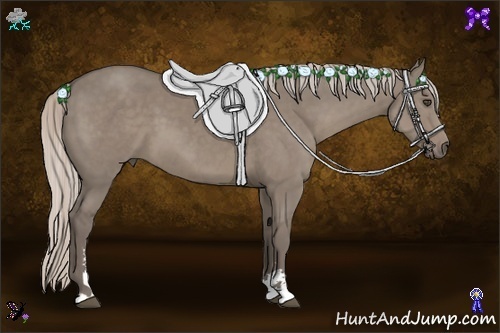 Horse Color:Silver Grullo Sabino 