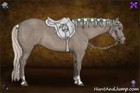 Horse Color:Silver Grullo Sabino 
