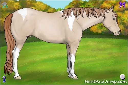 Horse Color:Smoky Black Pearl Tobiano
