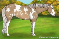 Horse Color:White Spotted Silver Brown Dun Splash 