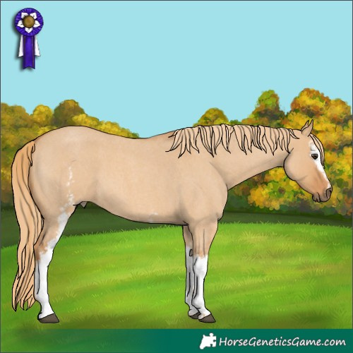 Horse Color:White Spotted Red Dun Roan