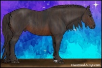 Horse Color:Brown Rabicano Brindle