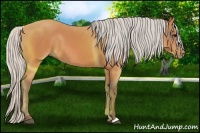 Horse Color:Silver Bay