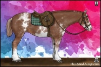 Horse Color:White Spotted Chestnut Sabino