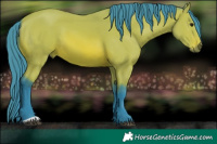Horse Color:Watercolor Bay 
