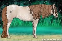 Horse Color:Smoky Black Ice Pearl 