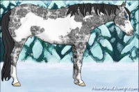 Horse Color:Black Ice Frame 