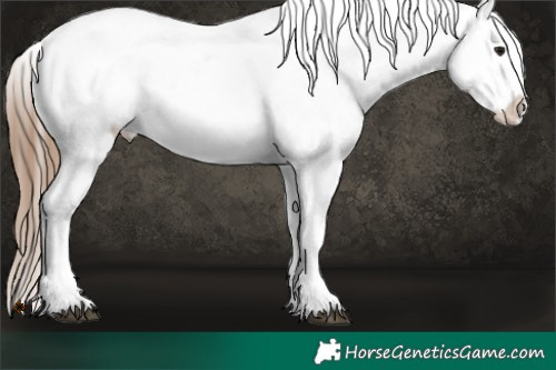 Horse Color:Black Ice Pearl Sabino Appaloosa 