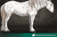 Horse Color:Black Ice Pearl Sabino Appaloosa 