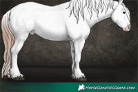 Horse Color:Black Ice Pearl Sabino Appaloosa