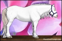 Horse Color:Chestnut Pearl Splash Varnish Rabicano 