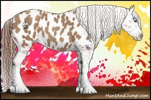 Horse Color:White Spotted Classic Champagne Appaloosa 
