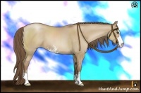 Horse Color:Grullo Pearl Sabino