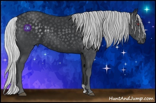 Horse Color:Silver Black Chinchilla 