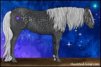 Horse Color:Silver Black Chinchilla 