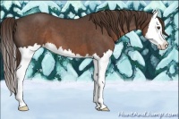 Horse Color:Liver Red Roan Splash
