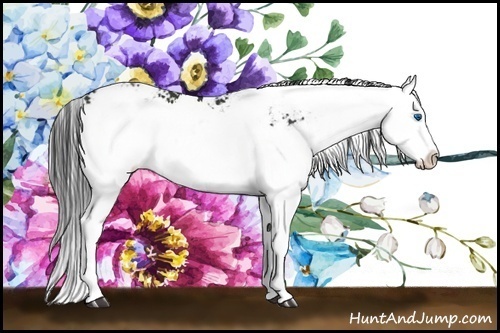 Horse Color:Black Sabino Splash