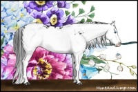 Horse Color:Black Sabino Splash 