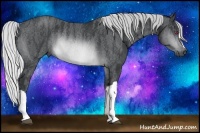 Horse Color:Silver Brown Chinchilla Rabicano  Brindle