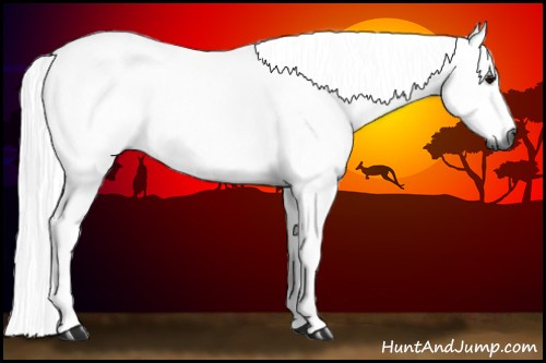 Horse Color:Gray Watercolor Smoky Grullo Tobiano Rabicano 