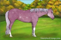 Horse Color:Watercolor Silver Bay