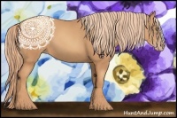Horse Color:Gold Champagne 