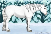 Horse Color:Silver Brown Appaloosa