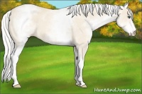 Horse Color:White Spotted Silver Perlino