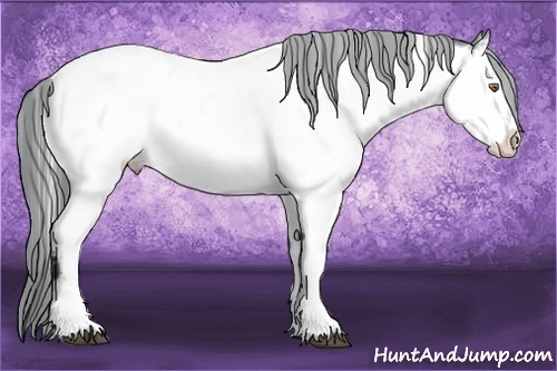 Horse Color:Brown Chinchilla Fewspot 