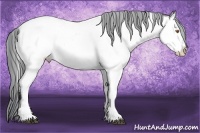 Horse Color:Brown Chinchilla Fewspot