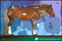 Horse Color:White Spotted Chocolate Palomino Tobiano 