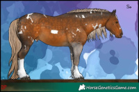 Horse Color:White Spotted Chocolate Palomino Tobiano 