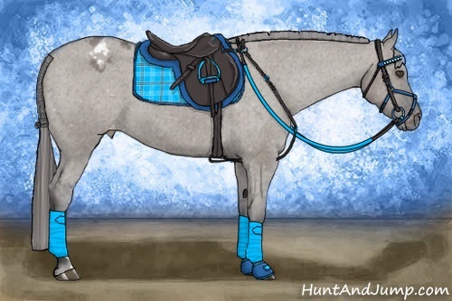 Horse Color:Grullo Sabino Varnish 