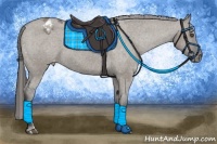Horse Color:Grullo Sabino Varnish