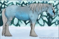 Horse Color:ERROR: UNKNOWN ANOMALY