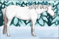 Horse Color:Bay Snowcap