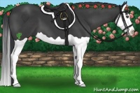 Horse Color:Black Splash