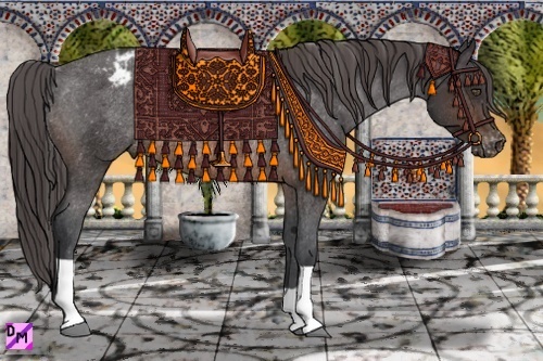 Horse Color:Brown Appaloosa Rabicano 