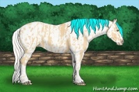 Horse Color:White Spotted Silver Amber Cream Champagne Splash Tobiano Blanket  Brindle