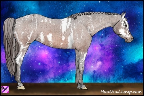 Horse Color:Bay Splash Tobiano Varnish  Brindle