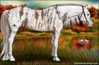 Horse Color:Bay Mushroom Splash Tobiano Blanket Brindle