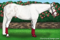 Horse Color:White Spotted Liver Chestnut Pearl Mushroom Varnish 